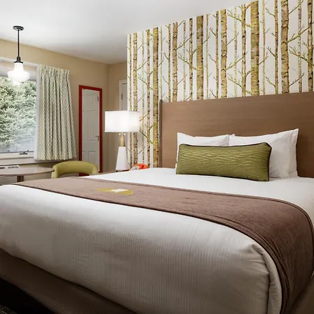 Bar Harbor Motel-2