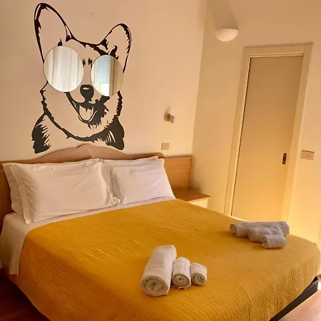 Pet Hotel Virginia - Hotel per cani-2