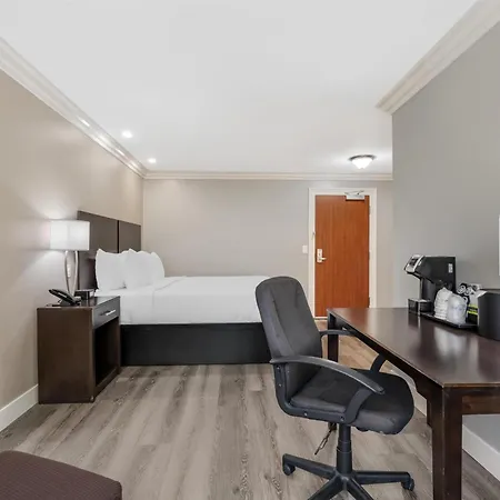 Best Western Plus La Mid-Town Hotel-3