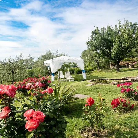 B&B Il Poggetto-3
