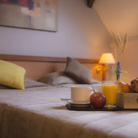 Hotel Le Beaugency-2