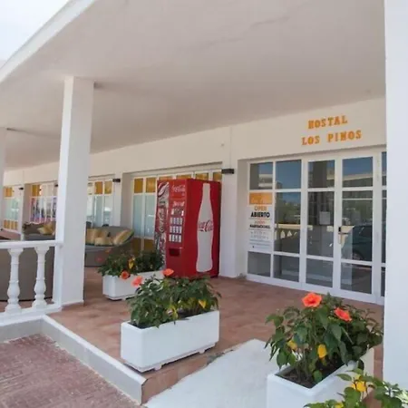 Hostal Los Pinos-2