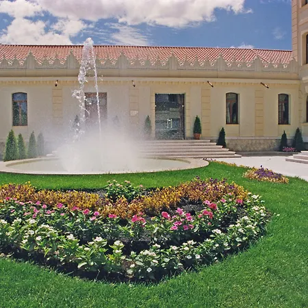 Hotel Ribera Del Duero-3