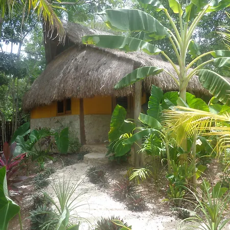 Casa Mango-3