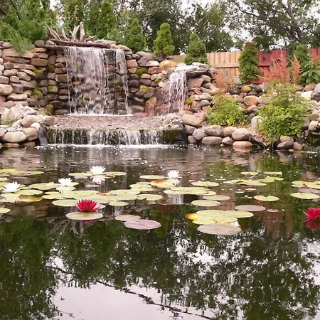 L'Oasis du Pirate-2