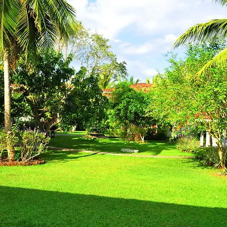 Bougain Villa-3