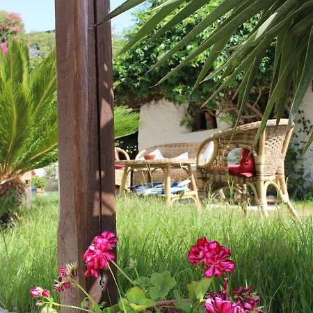 Hotel Mercurio Sul Mare - Fish Restaurant And Private Beach-3