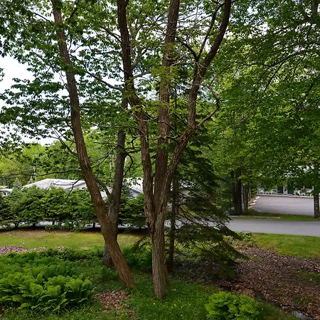 Bar Harbor Motel-3