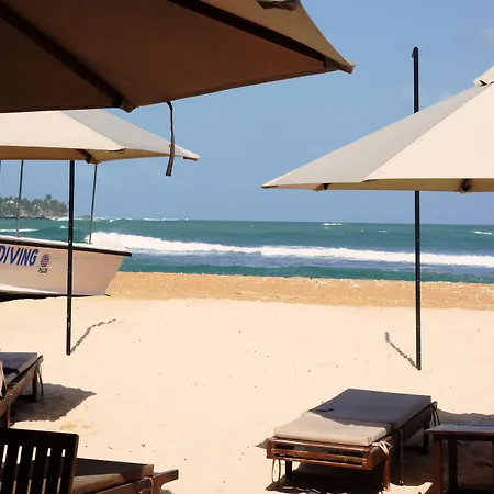 Orchard House Galle-2