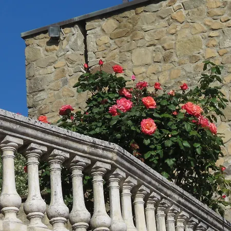 Residence Il Castagno-3
