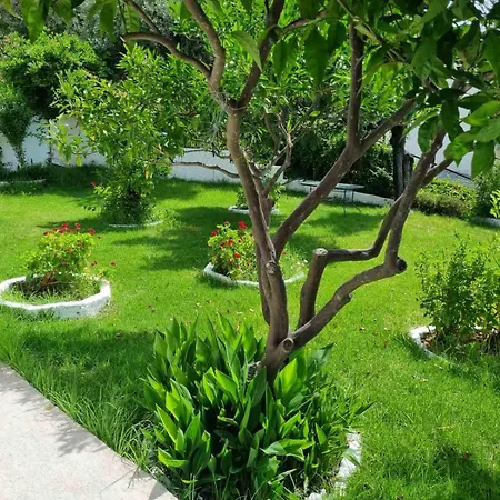 Mango Skiathos-2