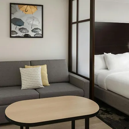 City Express By Marriott Orlando International Drive-3