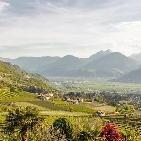 Pension Zum Burggraefler-3