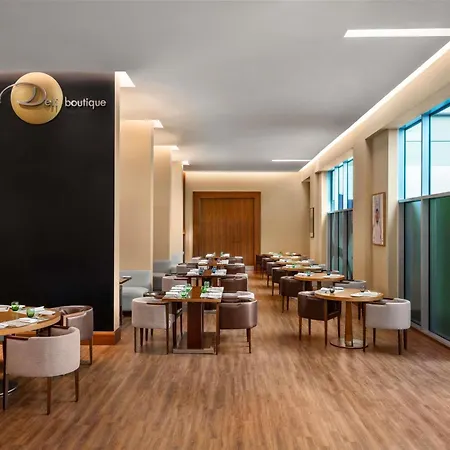 Ibis Mall Avenue Dubai-2