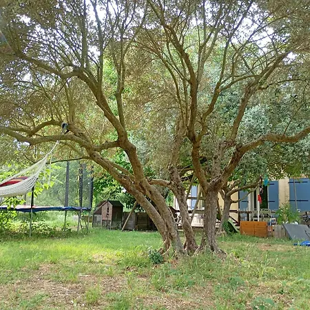 La ferme des Escampades-2