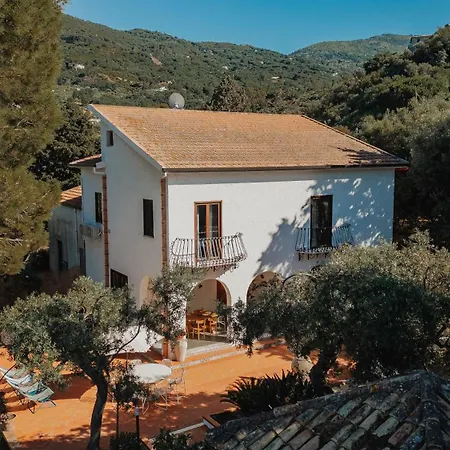 Villa Toto Resort-3