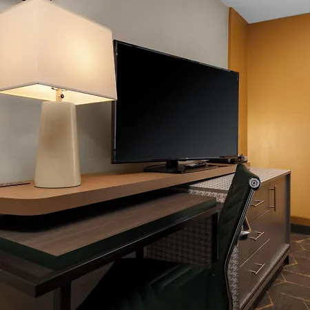 Holiday Inn Boston - Dedham Hotel & Conference Center By Ihg-2