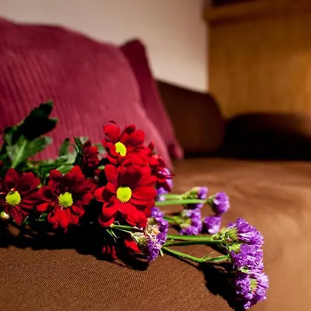 Dahlia Inn-2