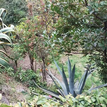 Il Capriolo-2