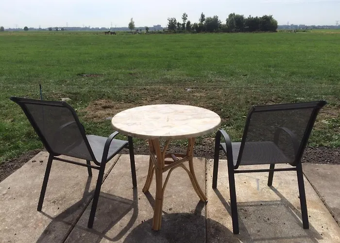 Your Nice Waggon At The Cow'S Paradise