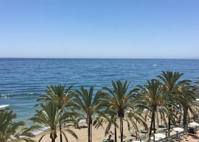 Hôtel accueillant les animaux: Las Palmas 1