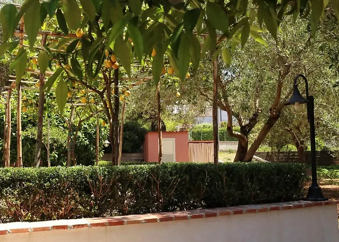 Rosada
