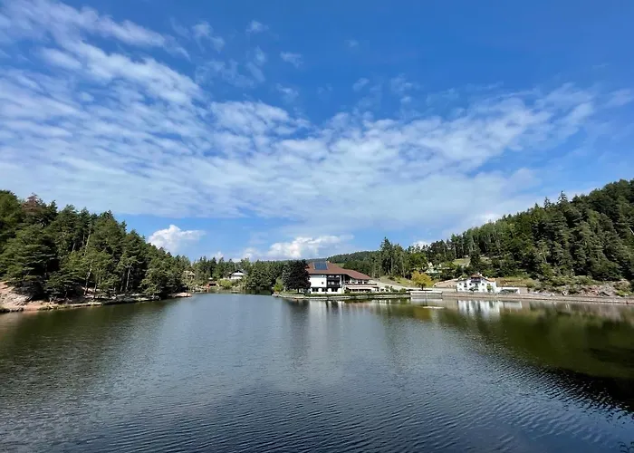 Hotel Am Wolfgrubenersee