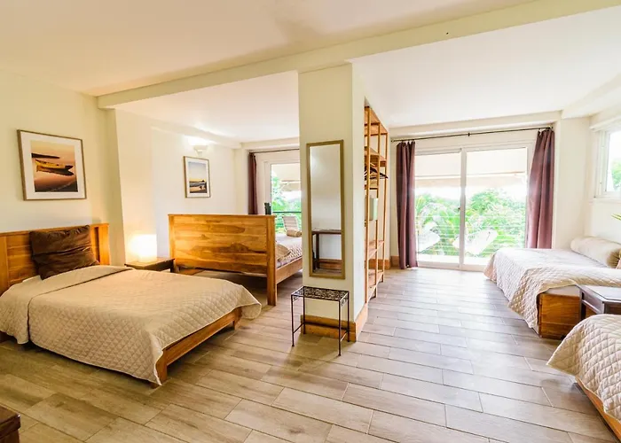 Hôtel avec vue: Funky Monkey Lodge