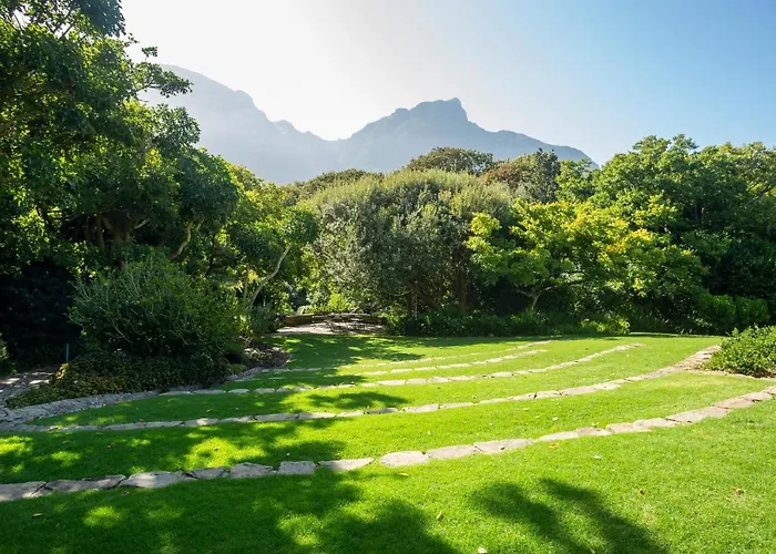 Luxury hotel only: Vineyard Hotel