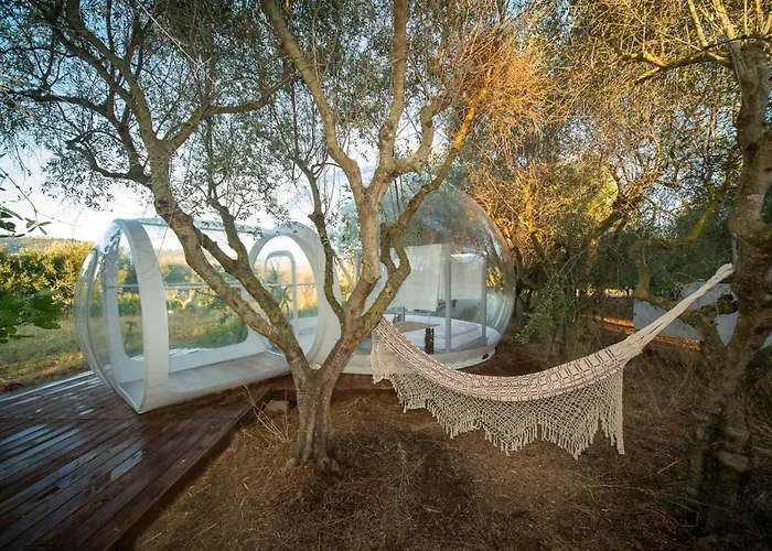 Hotel vicino al College: Bubblenature