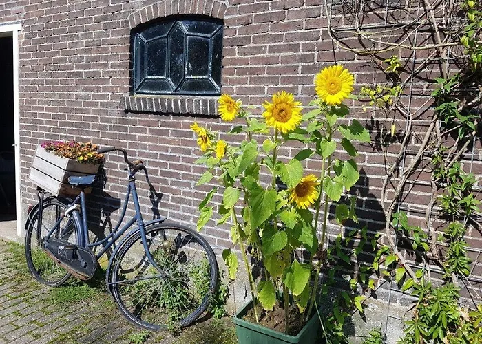 Het Voorhuis boerderij Hoeve Vrede Best
