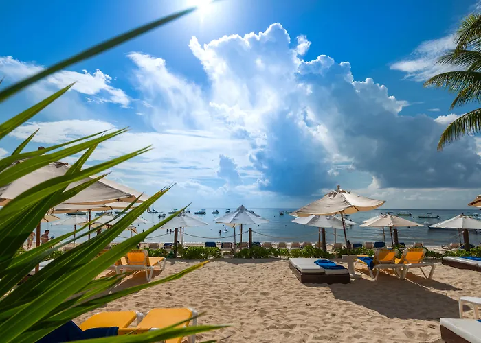 Reef Coco Beach & Spa