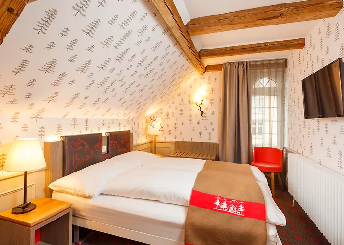 Swiss Night By Fassbind