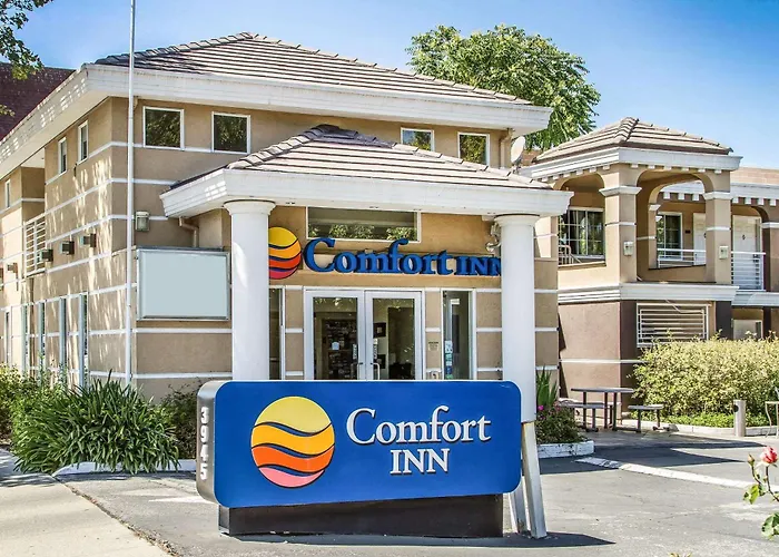 Comfort Palo Alto