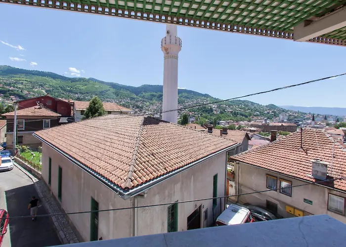 Hayat