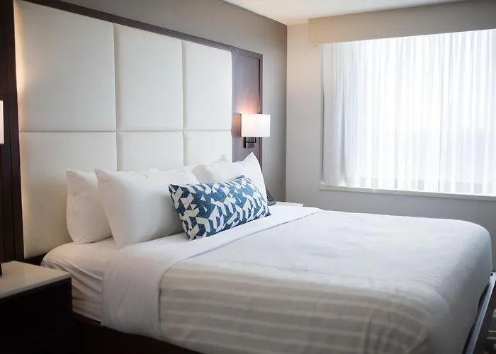 Pet Friendly hotel: The Park Hotel London