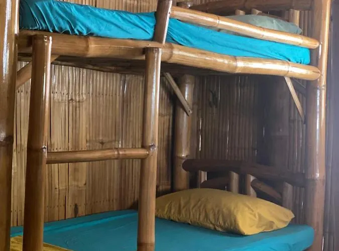 Pet Friendly hotel: Rustique Rue Mabini - Hostel