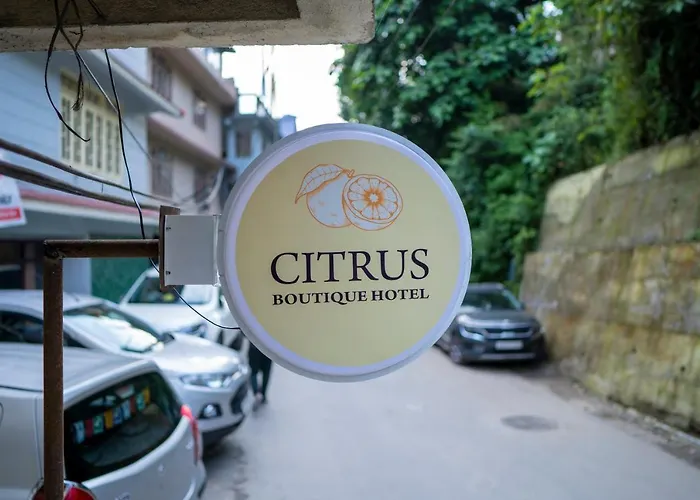 Family Hotel: Citrus Boutique Hotel