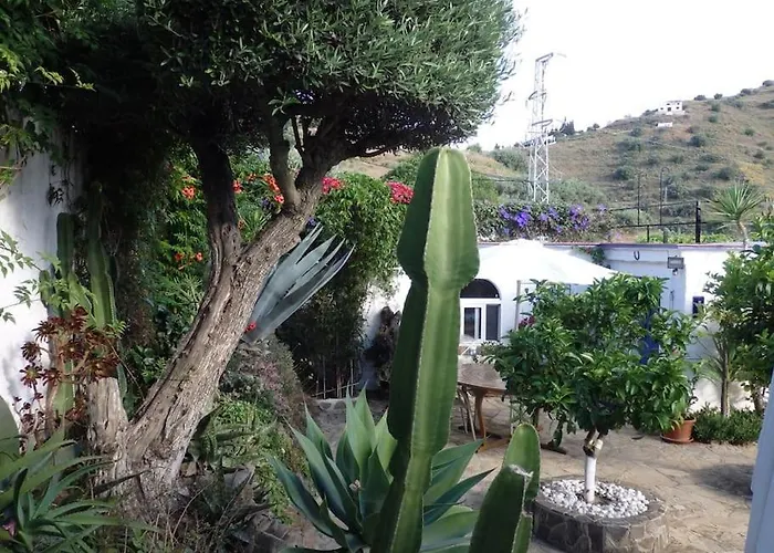 Finca El Cisne, Torrox