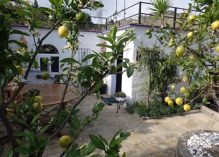 Finca El Cisne, Torrox