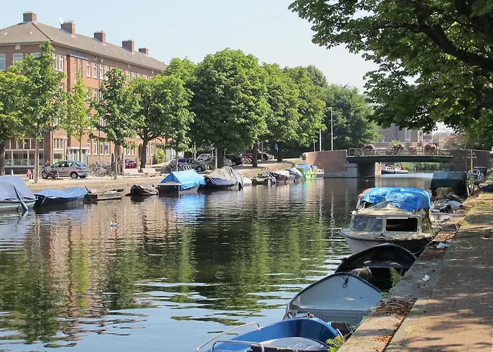 Goedkoop hotel: Wild Roses