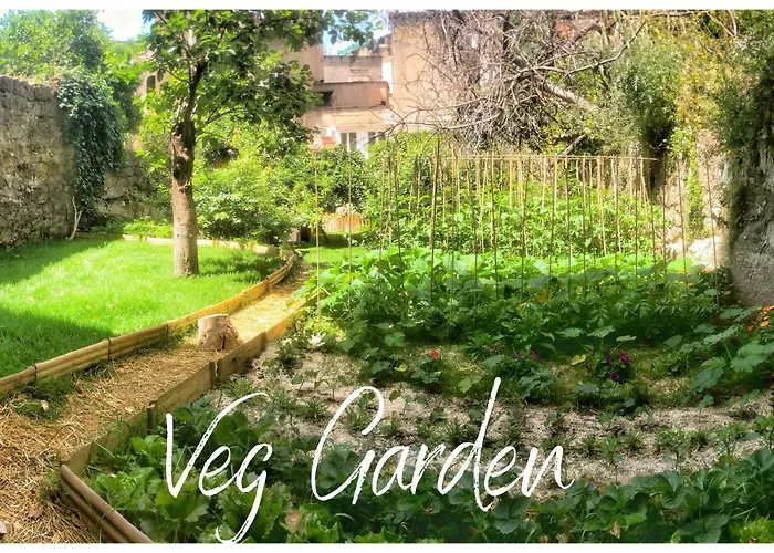 Casa Vayu - Rooms & Garden
