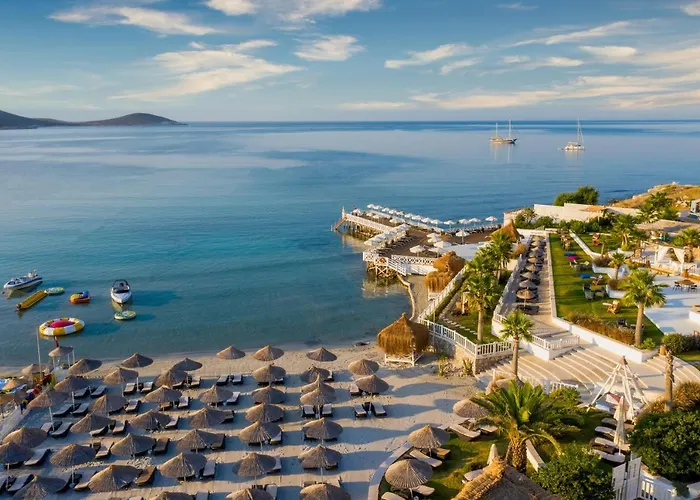 Boetiek hotel: Design Plus Seya Beach Hotel