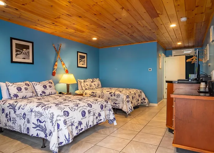 Motel: White Birches Motel