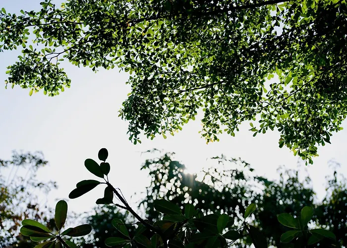 Luxury hotel only: Elysium Suite