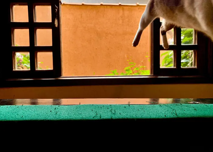 Hotel de praia: Guaru Surf Hostel