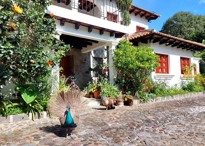 Hotel céntrico: Hotel y Jardines Casa Búho