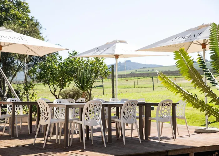 Guest house: Lovane Boutique Wine Estate And Guesthouse