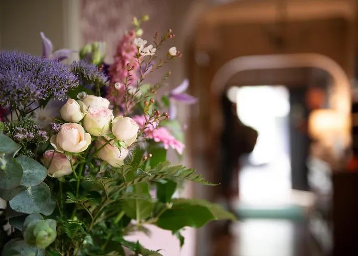 Guests house Adare Guesthouse