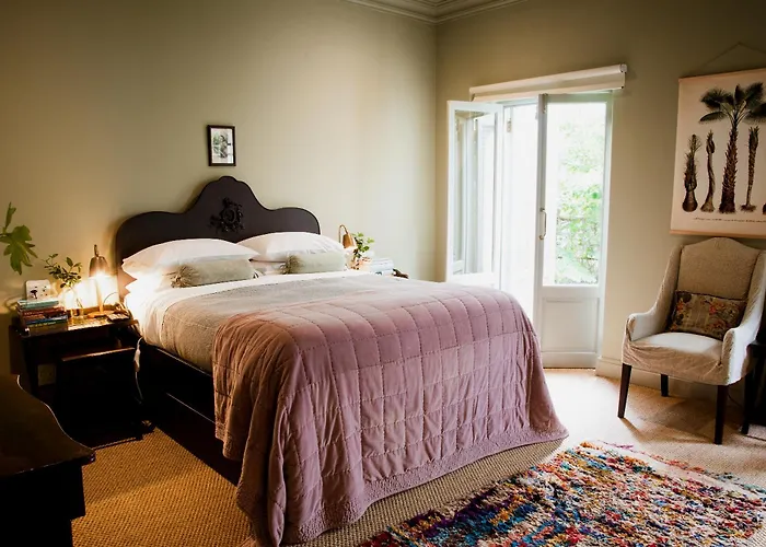 Dog friendly hotels Dorp
